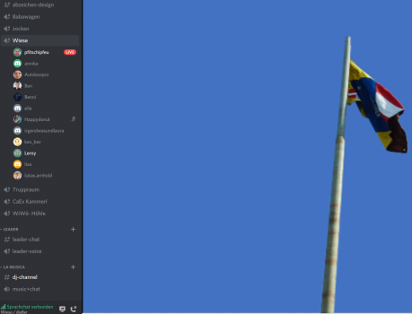 discord Fahnengruß mit den verschiedenen Räumen seitlich